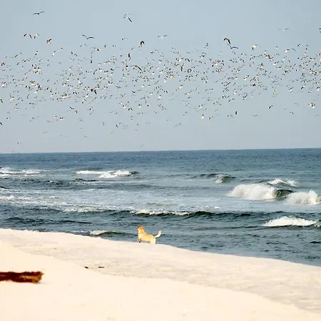 Apartmán White Pearl 1.02